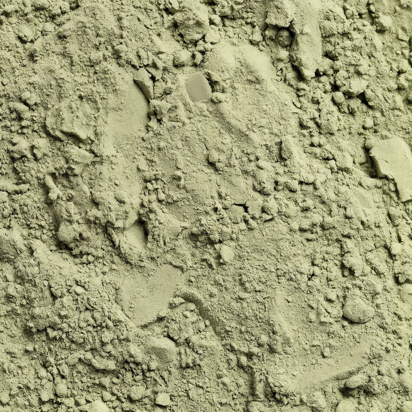 TFX FOUNDATION – Daily Greens Blend